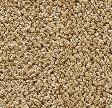GallottiRadice Perky Cinnamon 031